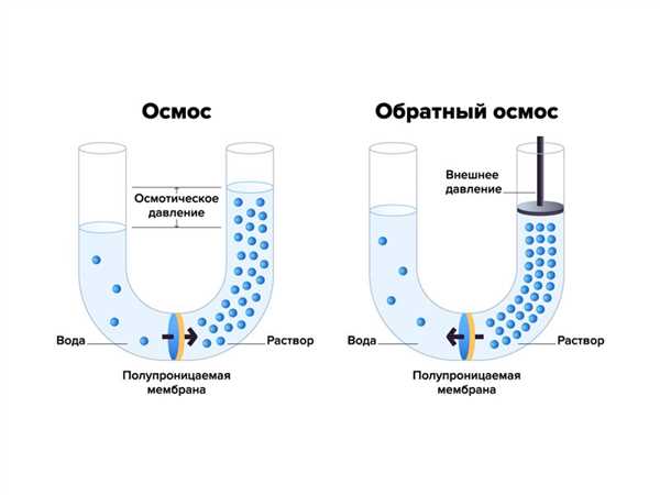 Что такое осмос?