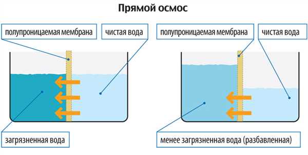 Осмос в медицине