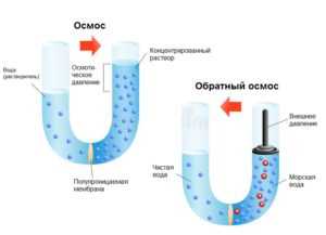 Осмос в промышленности