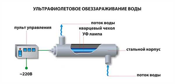 Окисление и дезинфекция